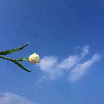 传说之证手游下载